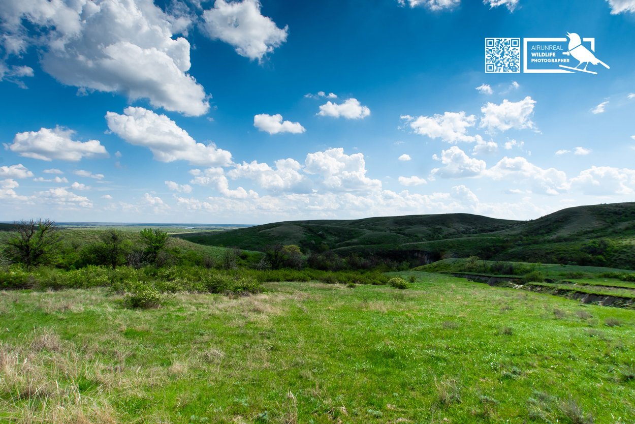 Донские степи Волгоградской области