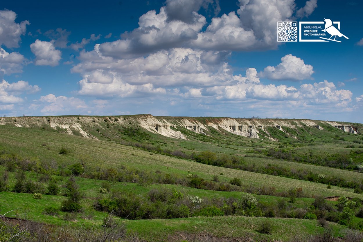 Степи Волгограда