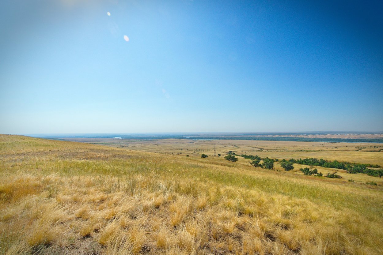 Заповедник «Ростовский» сухая степь