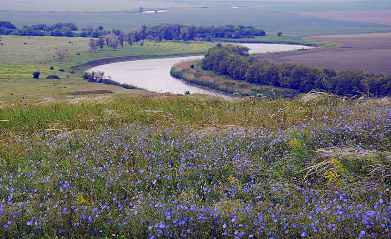 Донские степи Ростовской области