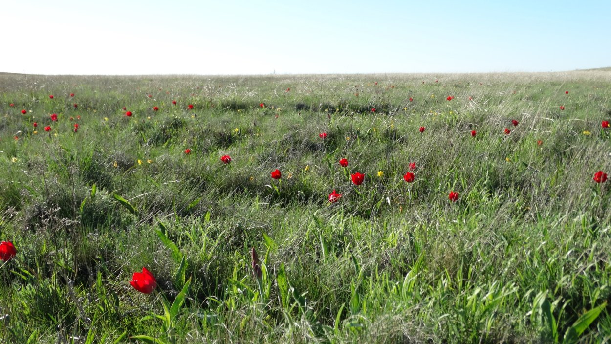 Донской природный парк Ростовская область