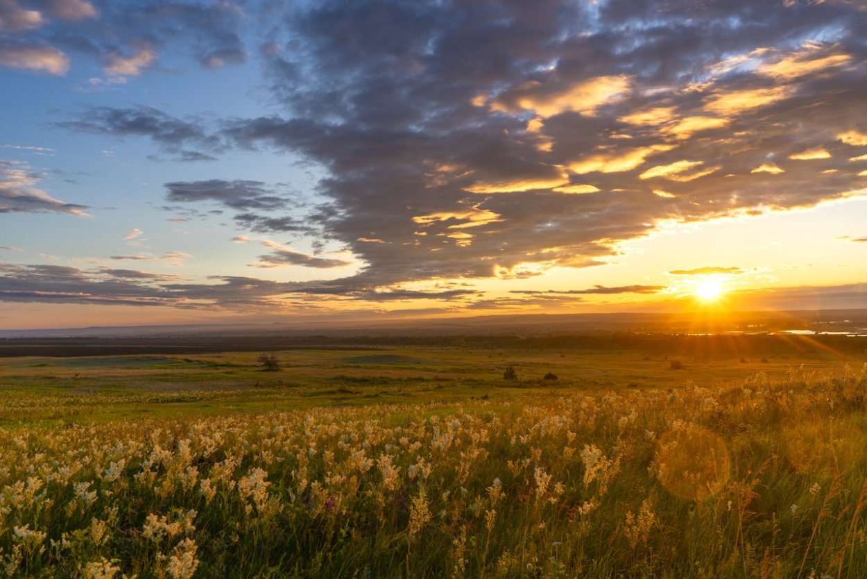 Саратовские степи