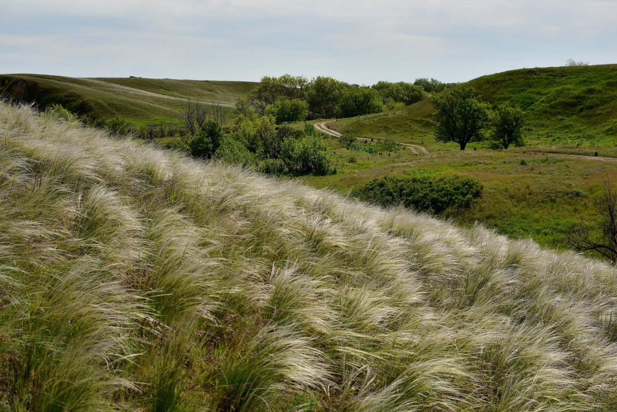 Запорожская степь, Дон.фото