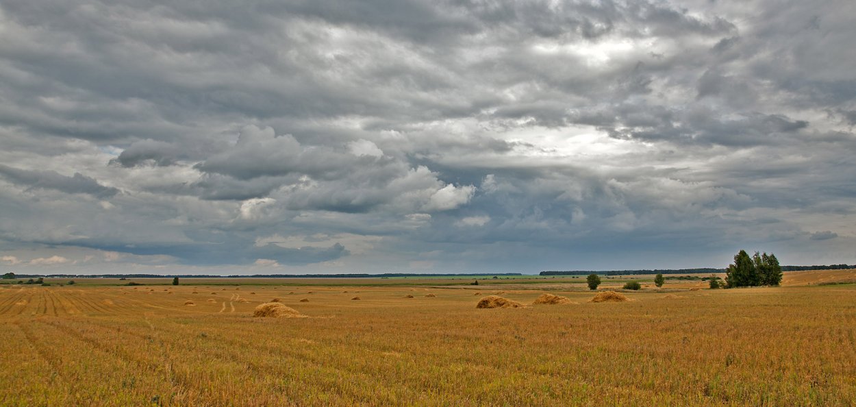 Персиановская Заповедная степь Ростовской области
