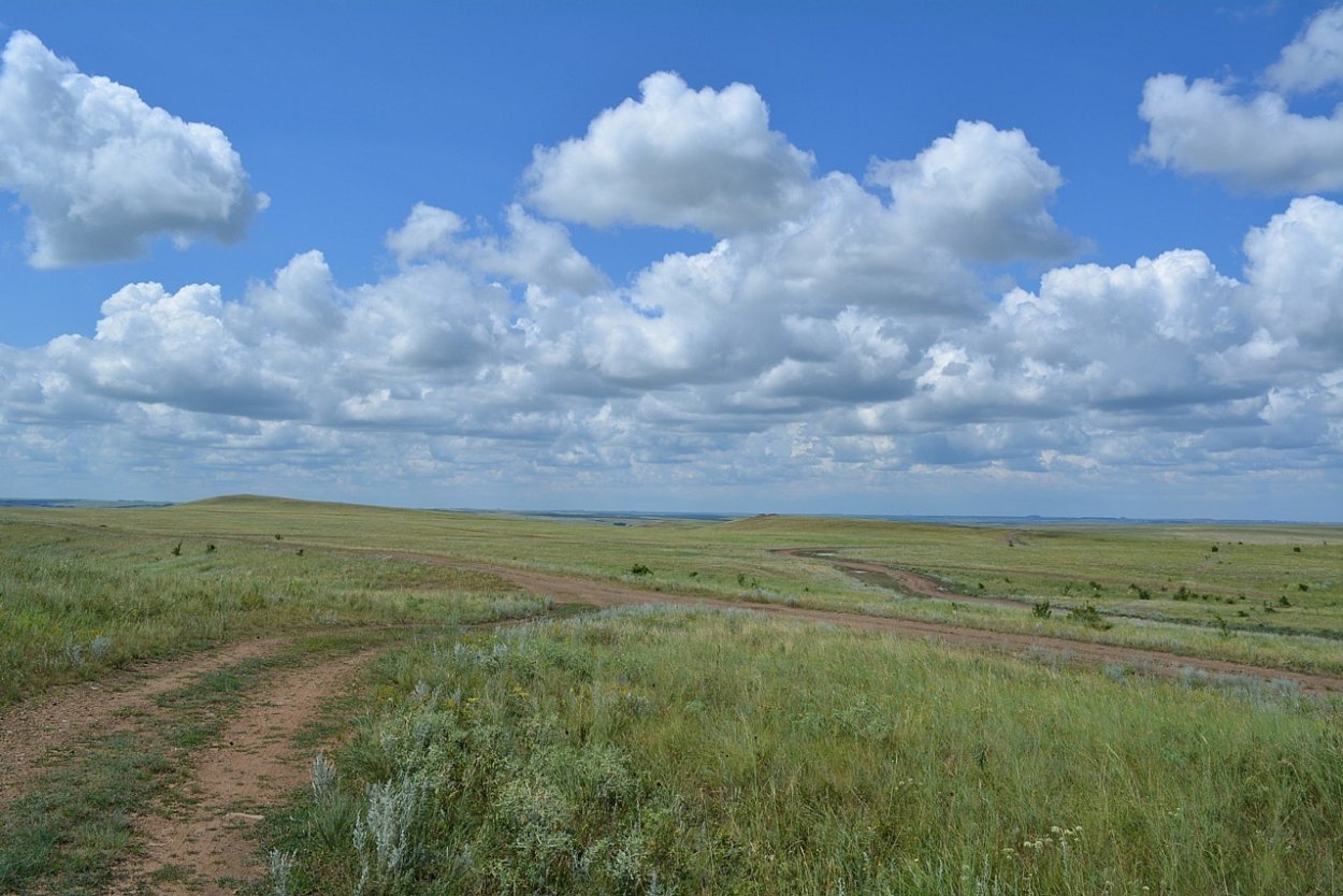Провальская степь (Ростовская область)