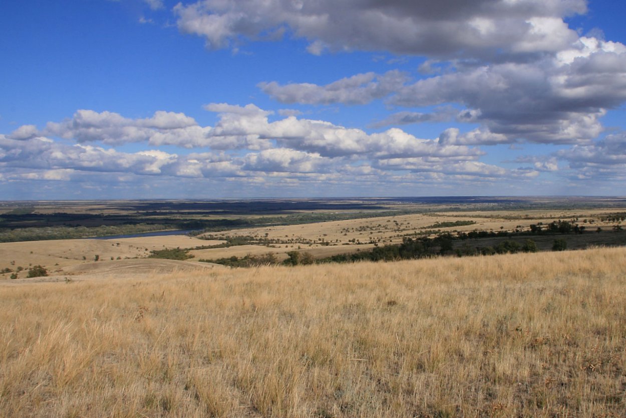 Донская степь Ростовская область