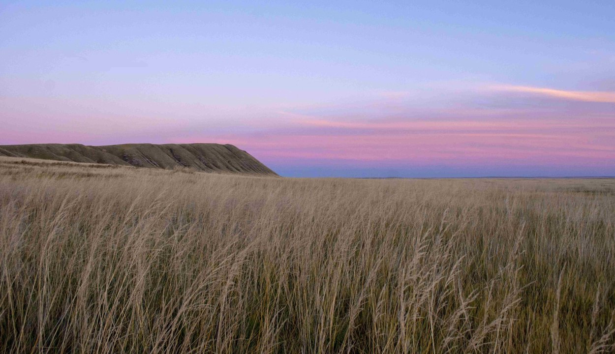 Степь панорама Дон
