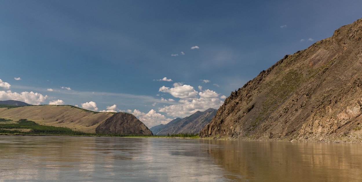 Нера (приток Индигирки)