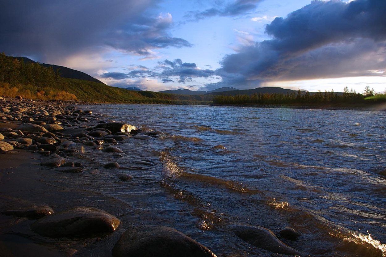 Реки Яна Индигирка Колыма