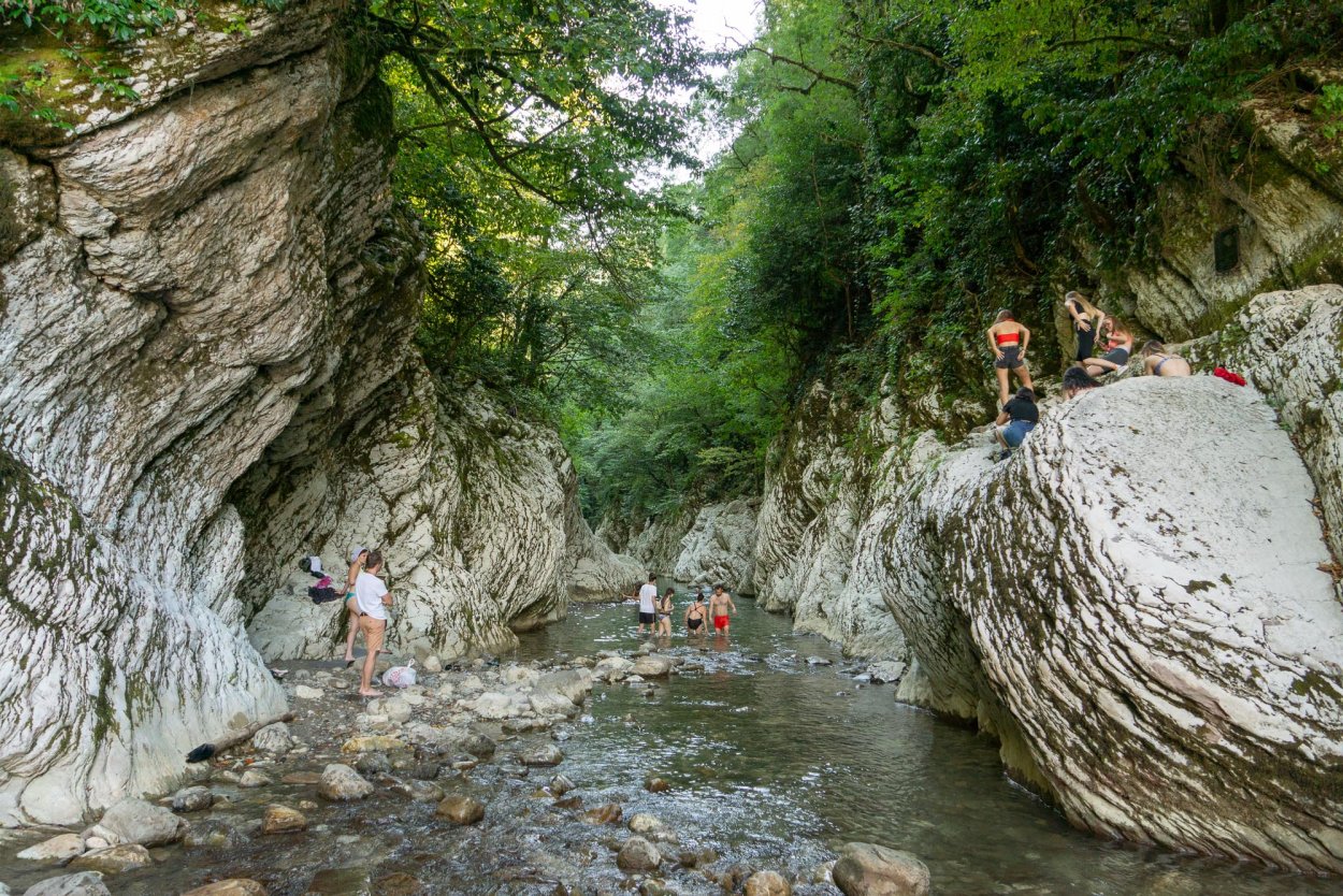 Тисо-Самшитовая роща и каньон чертовы ворота