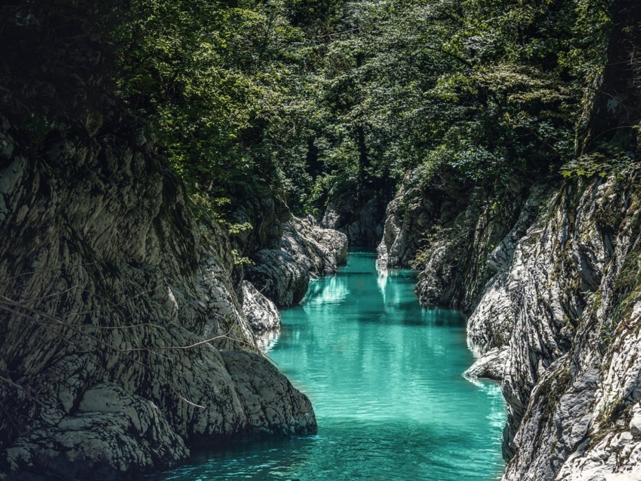 Тисо-Самшитовая роща и каньон чертовы ворота