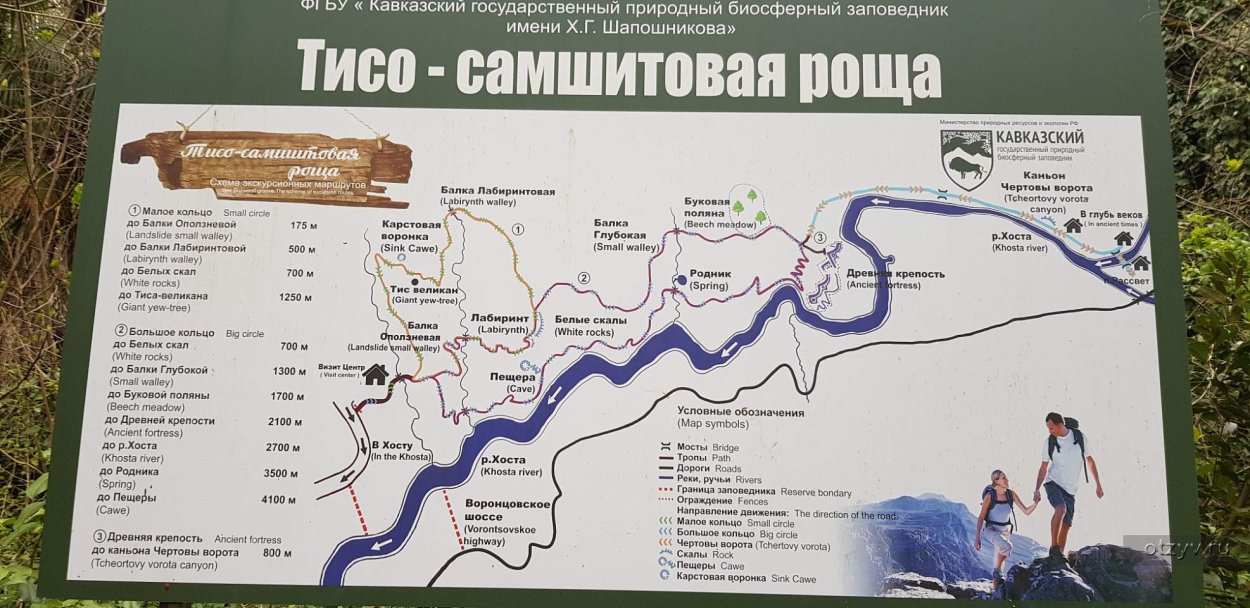 Самшитовая роща Сочи 2022