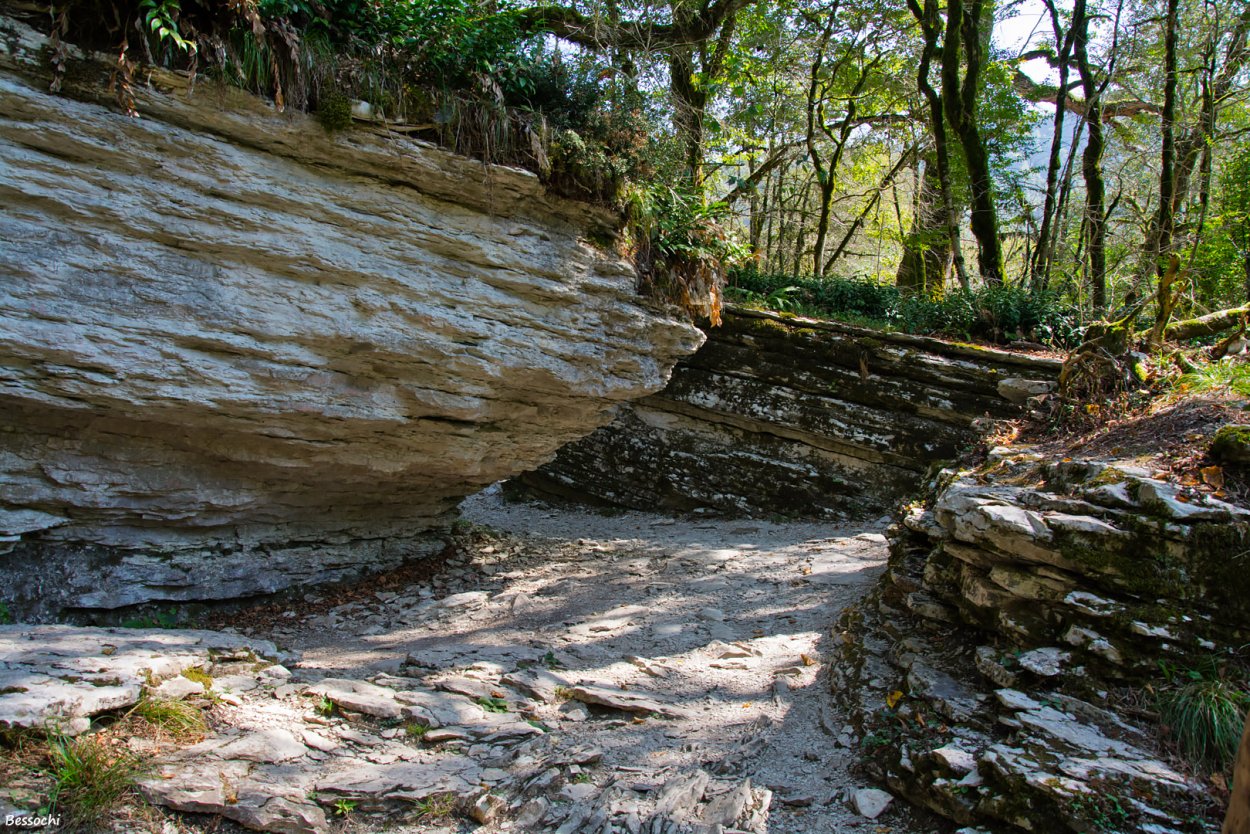Самшитовая роща и каньон чертовы ворота