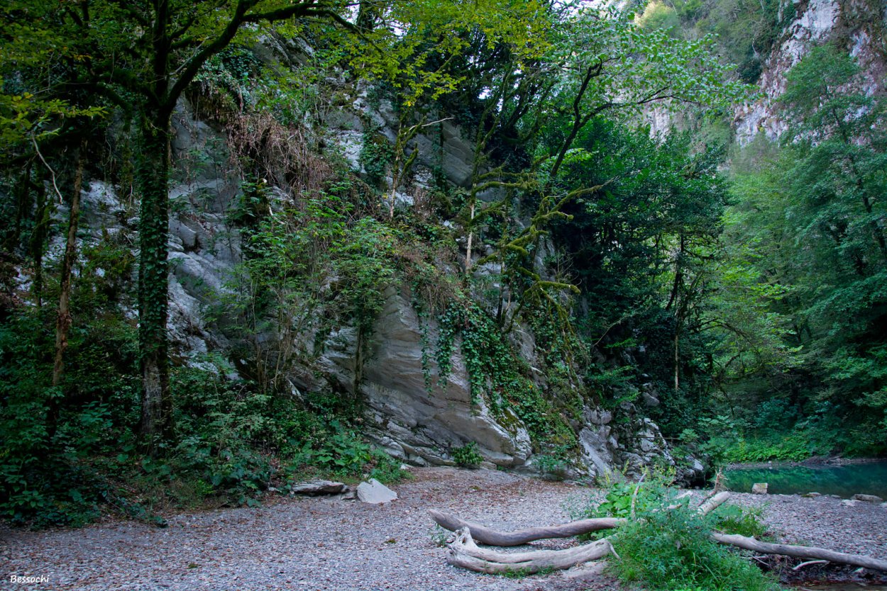 Национальный парк Тисо-Самшитовая роща
