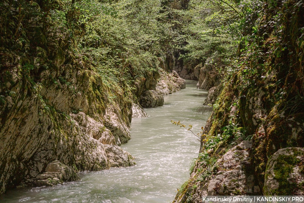 Тисо-Самшитовая роща и каньон чертовы рога