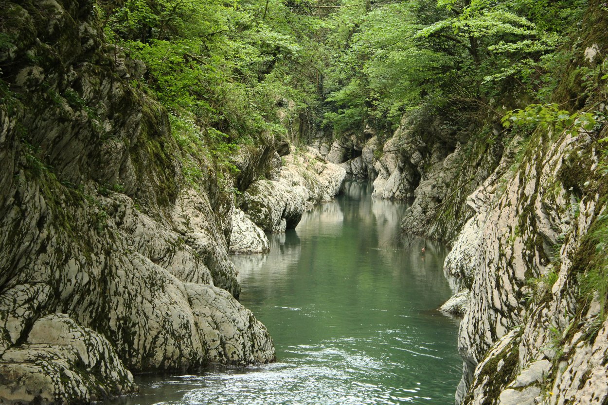 Тисо Самшитовая роща чертовы ворота