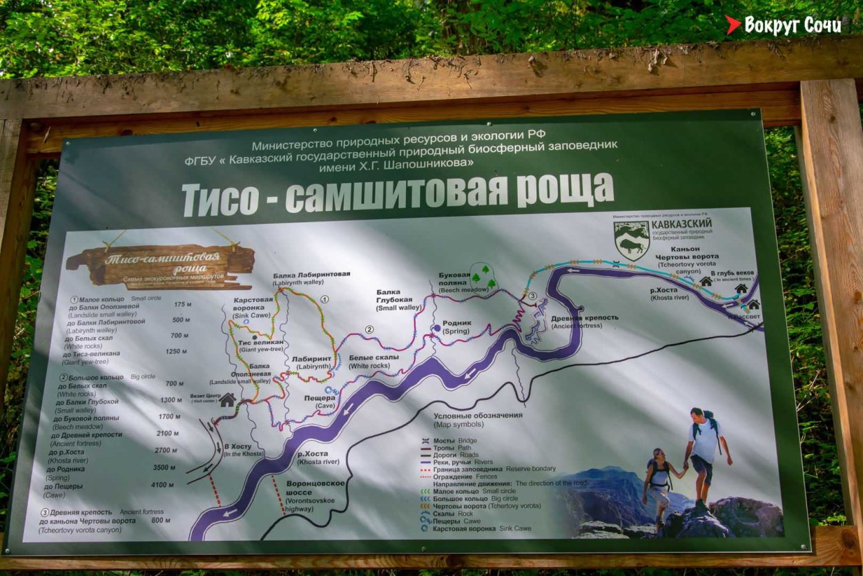 Сочи Тисо-Самшитовая роща чертовы ворота