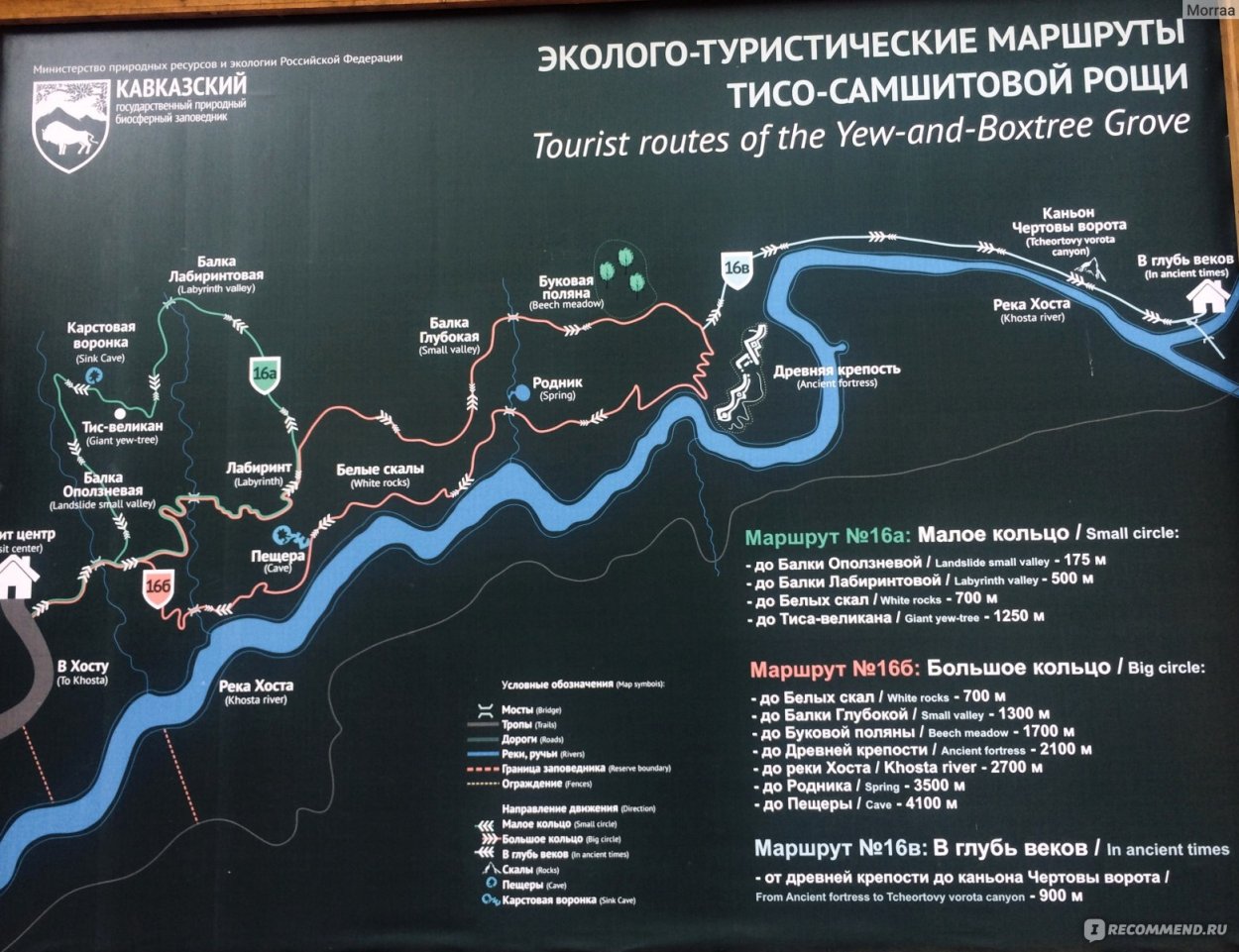 Тисо Самшитовая роща Хоста маршрут