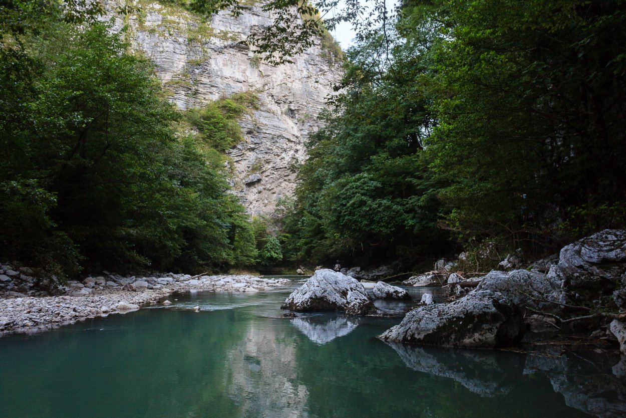 Тисо-Самшитовая роща и каньон чертовы ворота
