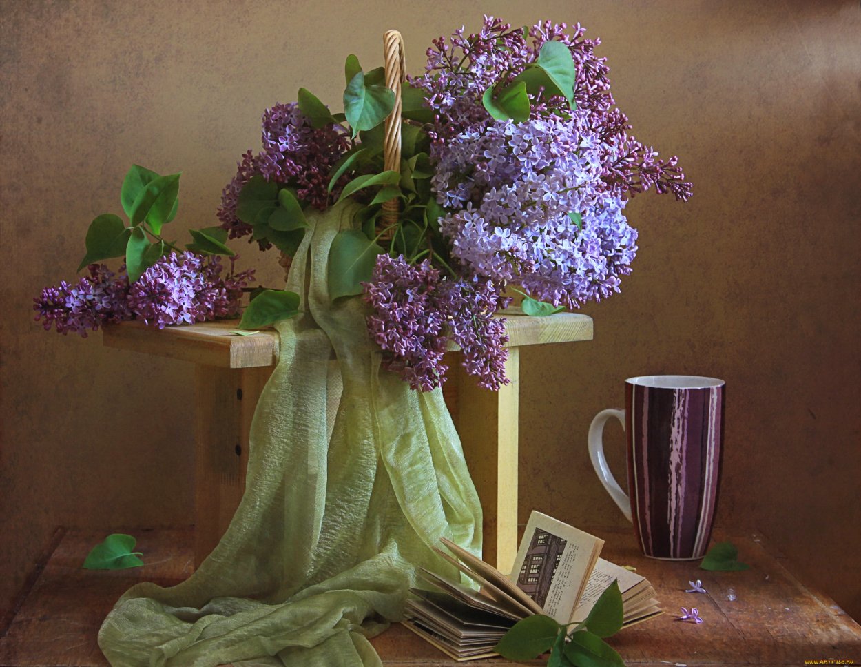 Увядшая сирень