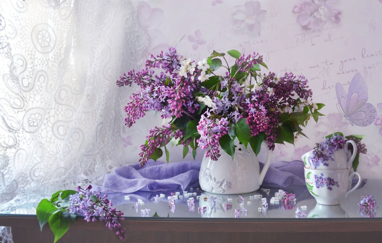 Валентина Колова натюрморты