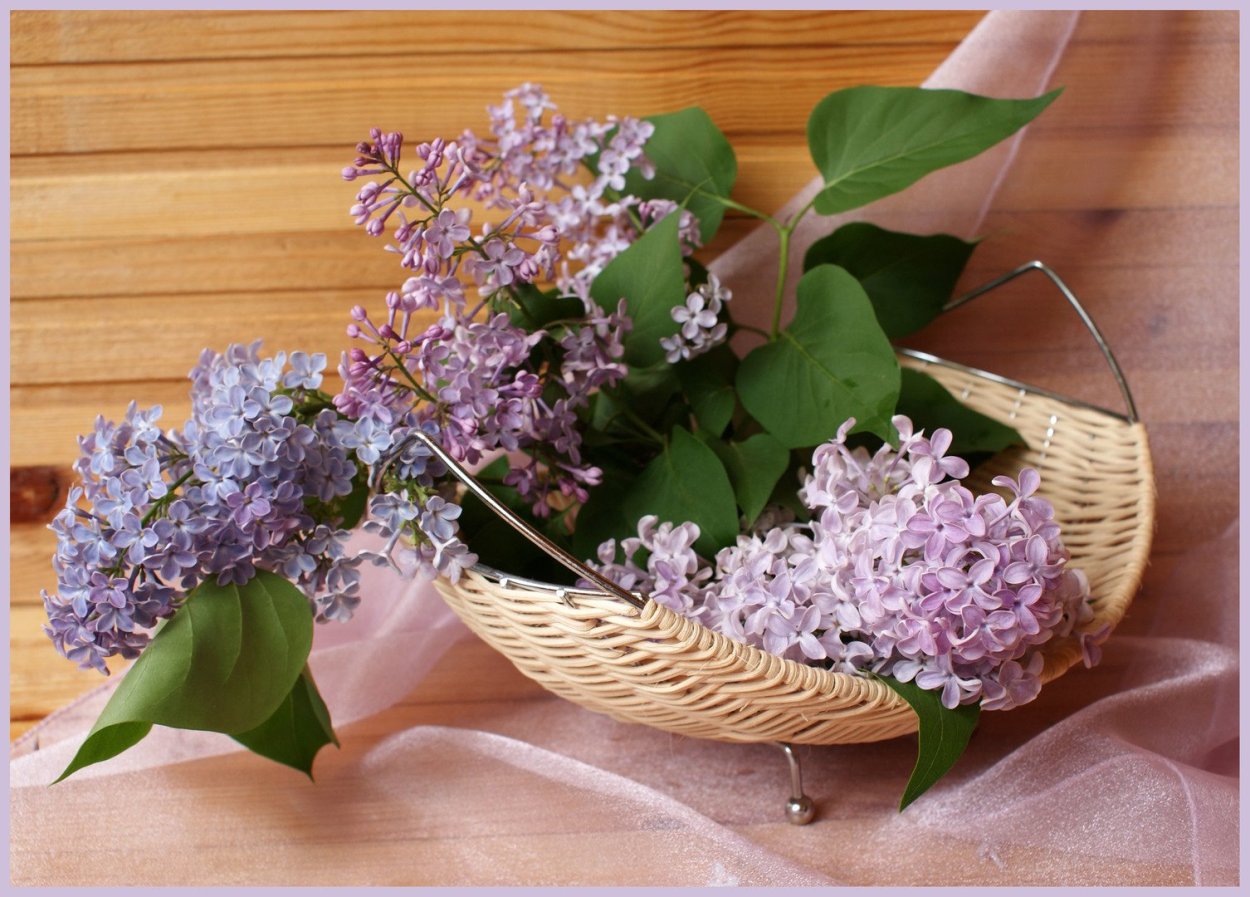Композиции из сирени в корзине