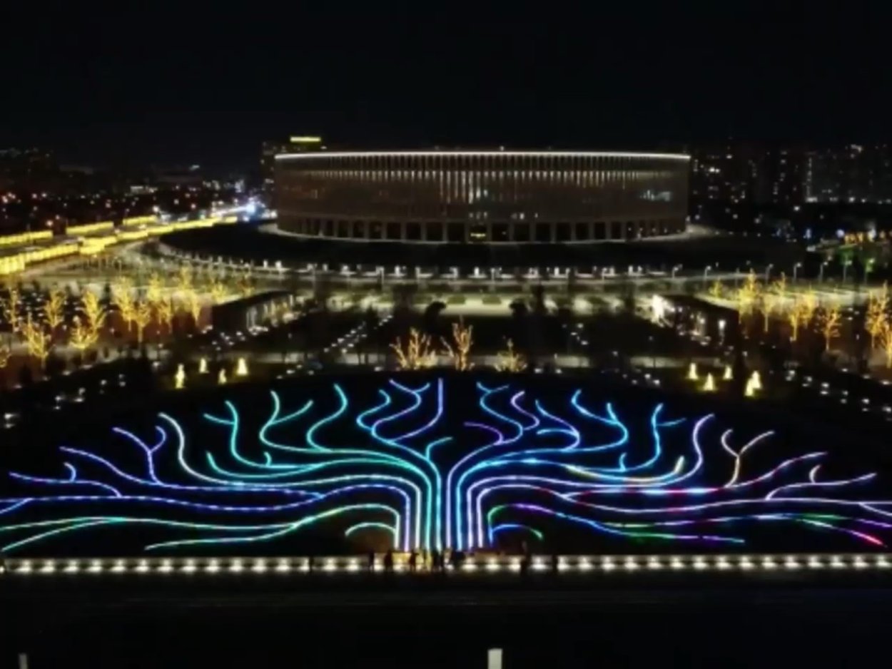 Парк Галицкого в Краснодаре дерево жизни