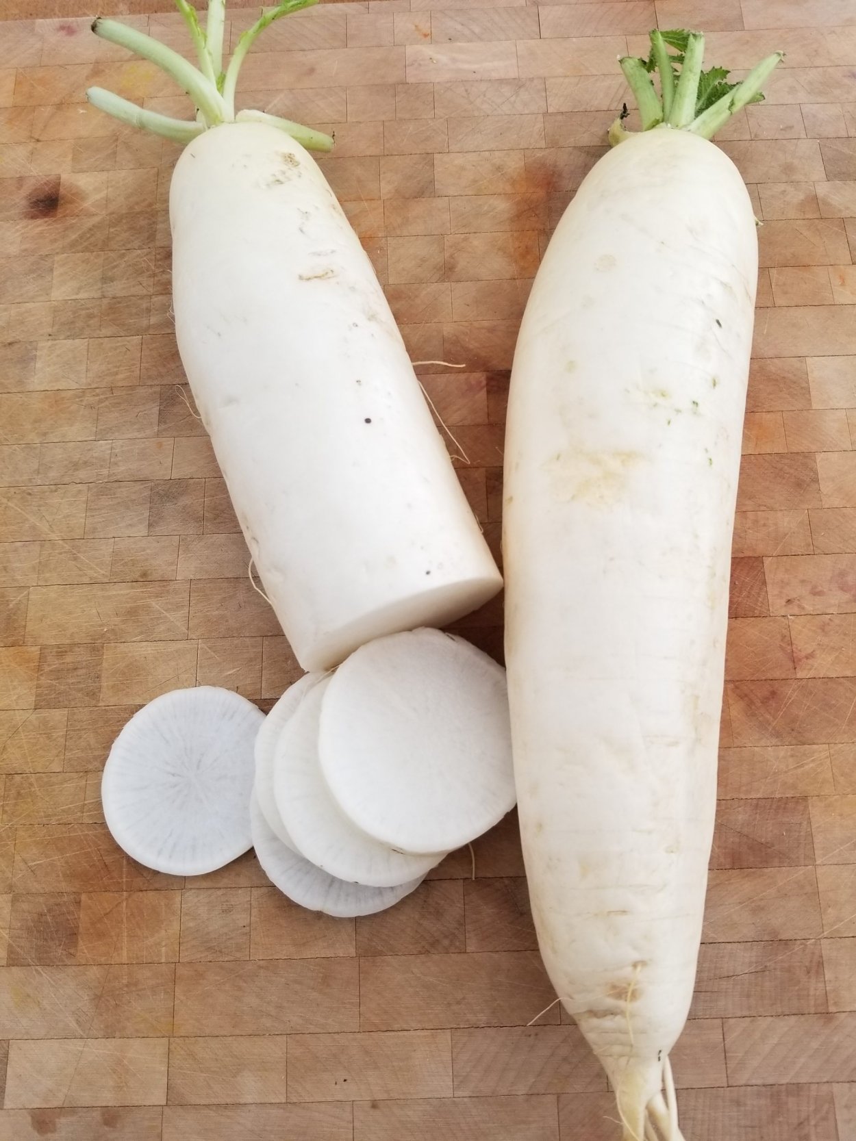 Редис дайкон