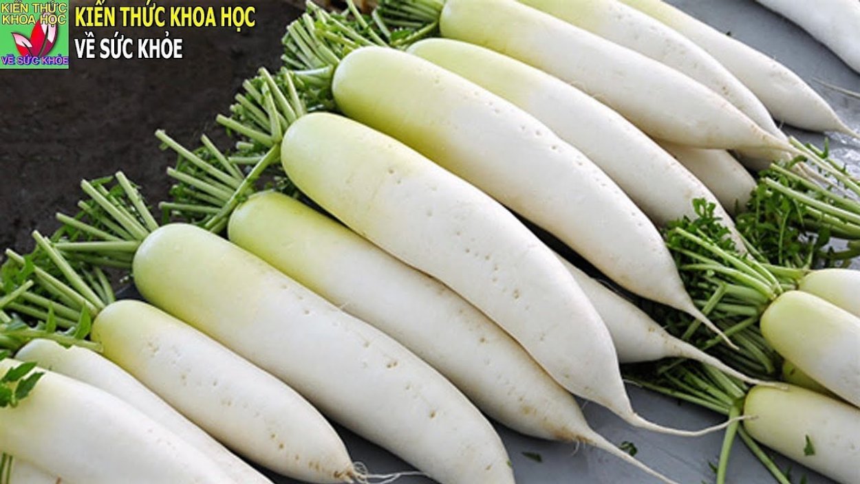 Редька дайкон фото