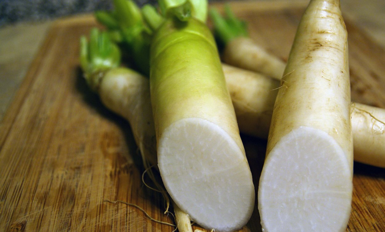 Китайская редиска дайкона