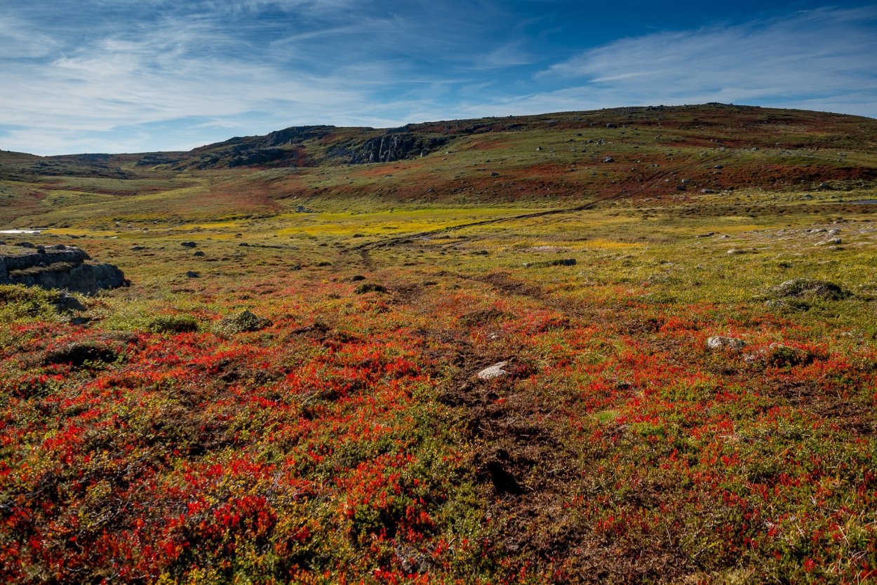 Большеземельская тундра