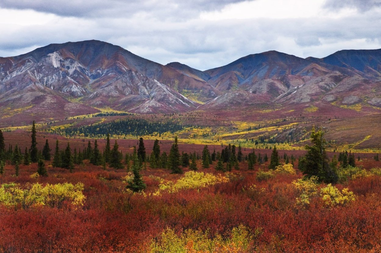Канада тундра и Тайга