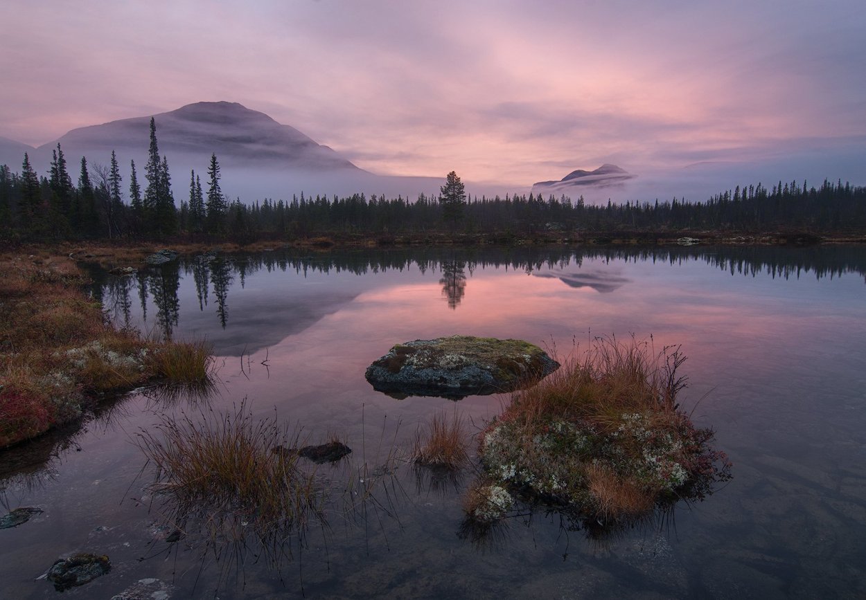 Полигональная тундра