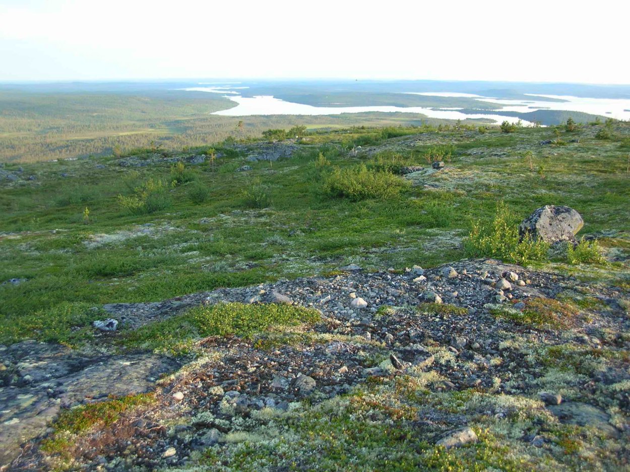 Мохово-лишайниковая тундра