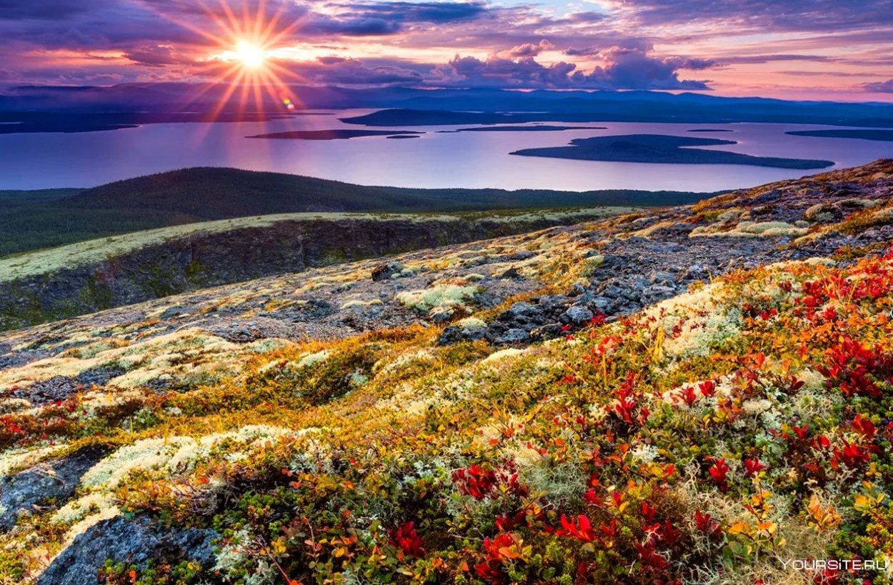 Тундра Кольского полуострова