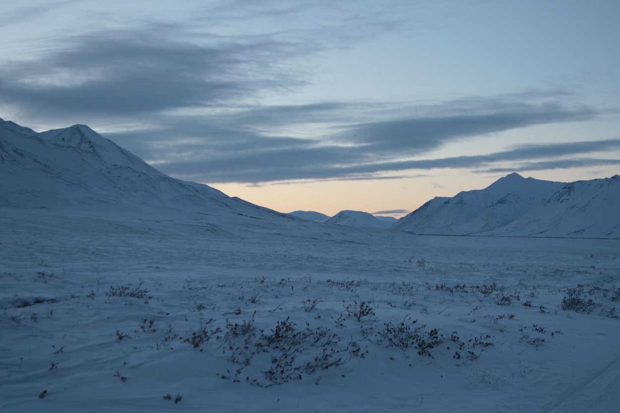 Арктическая тундра лесотундра