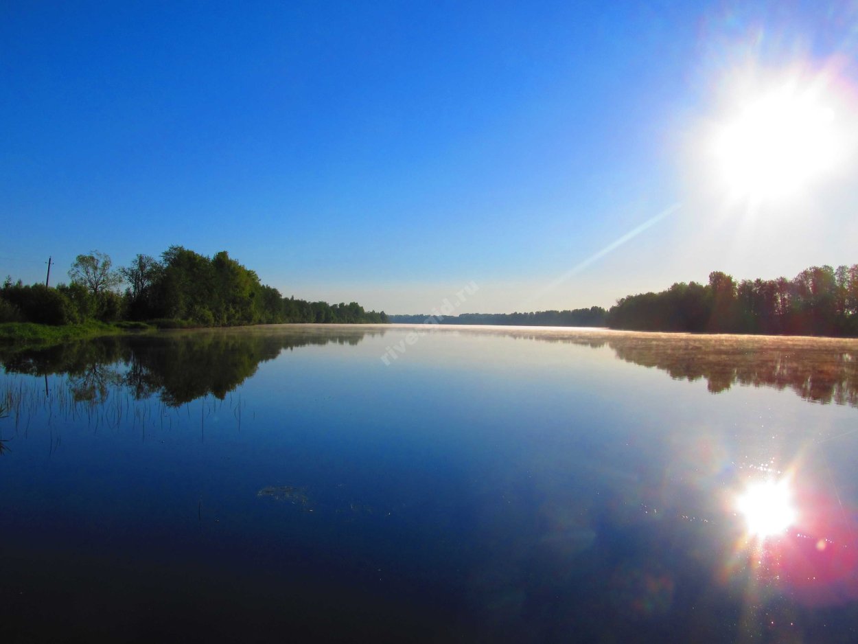 Берег реки Волхов