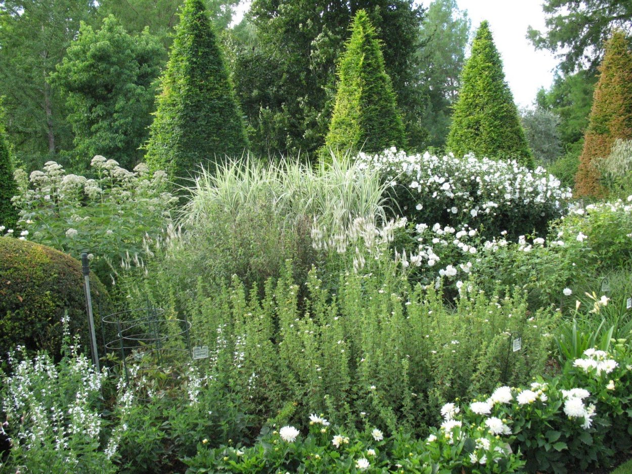 Белый миксбордер монохромный