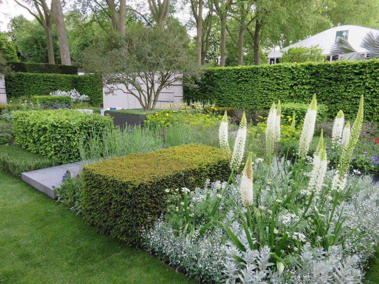 Монохромные композиции в саду