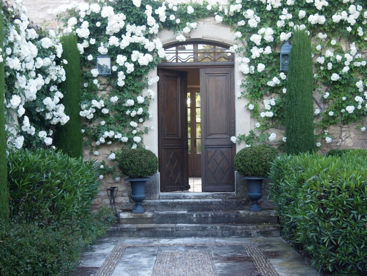 Сад с белыми цветами