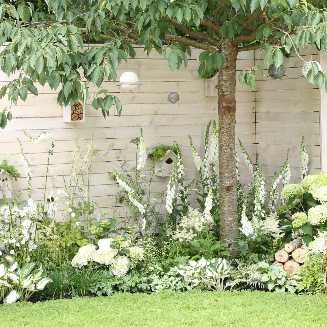 Сад в бело розово зеленом стиле