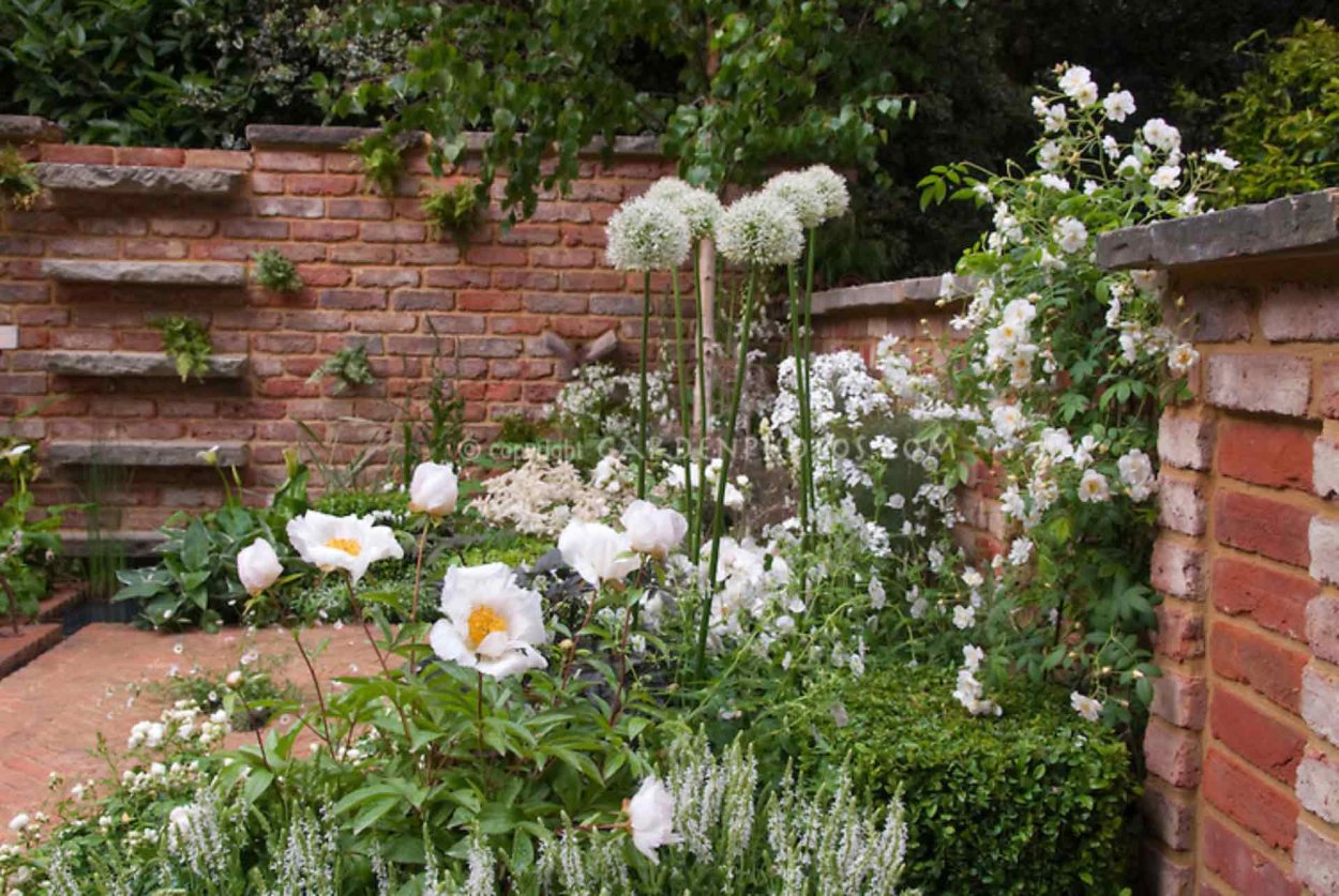 Белый сад цветник