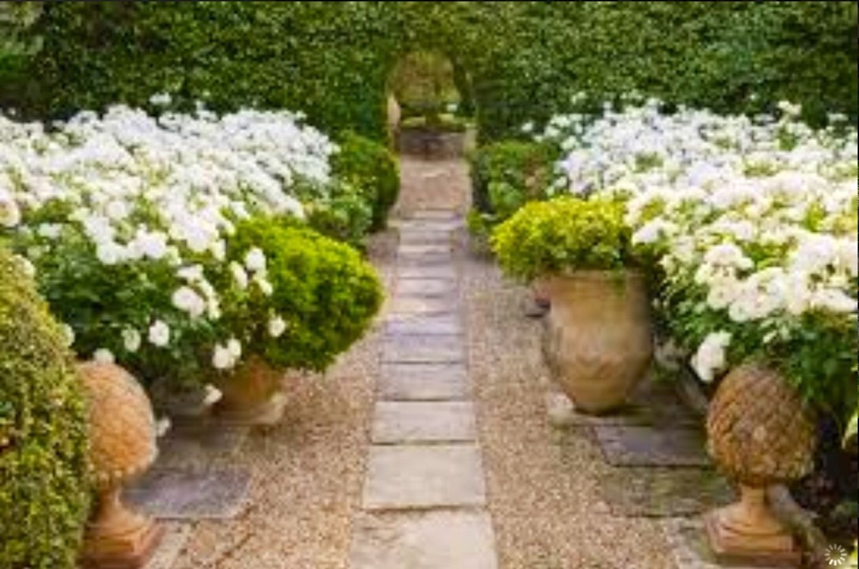 Белый сад французский