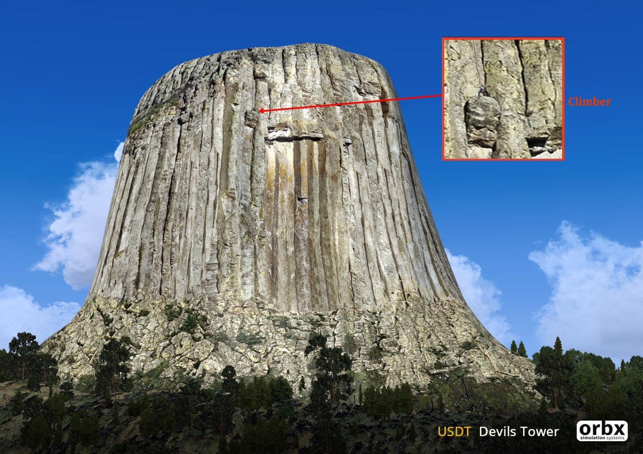 Девилс-Тауэр дерево