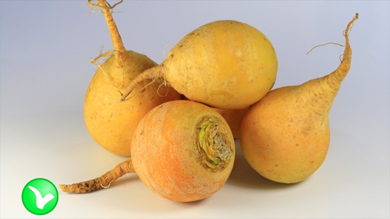 Репа корнеплод