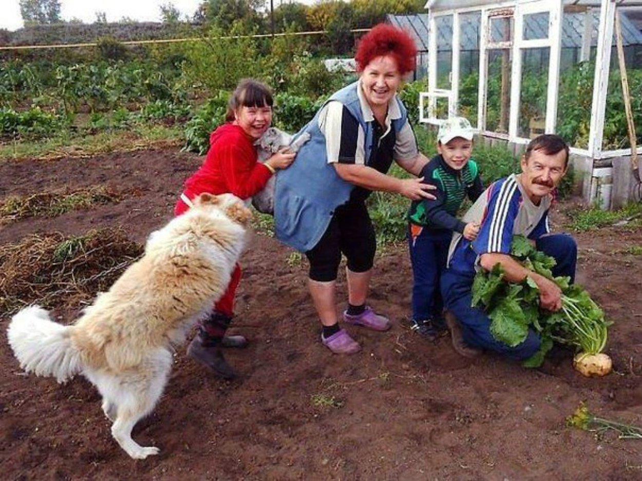 Репка на даче