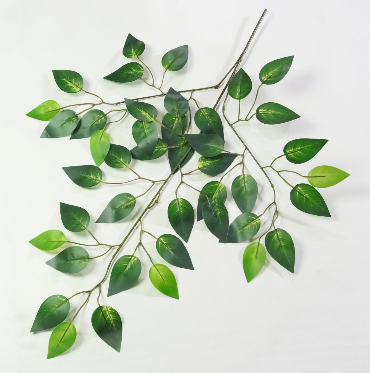 Елка с листьями фикуса