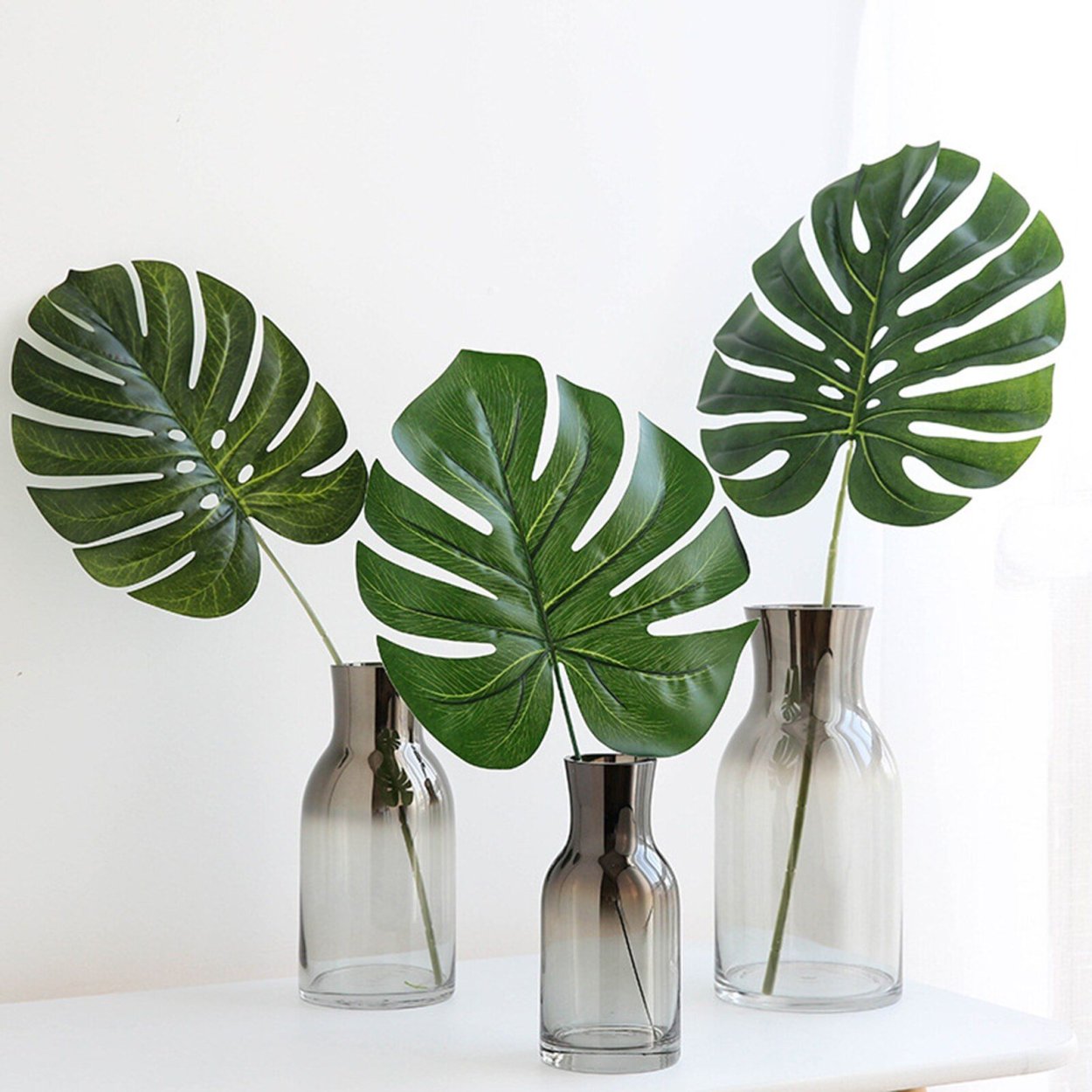 Монстера (Monstera)