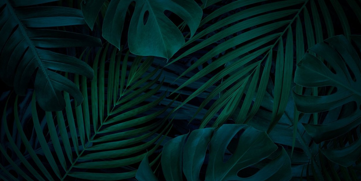 Тропические листья темные