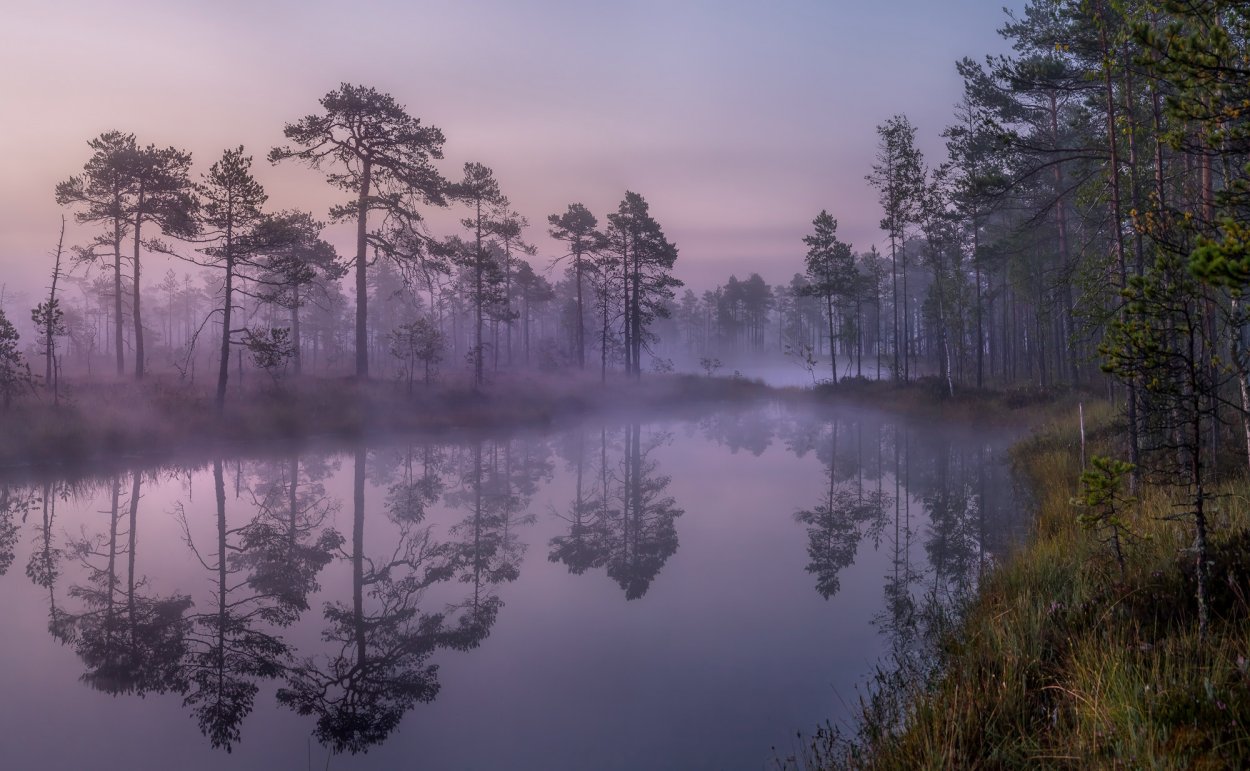 Туманное озеро Ленинградская область